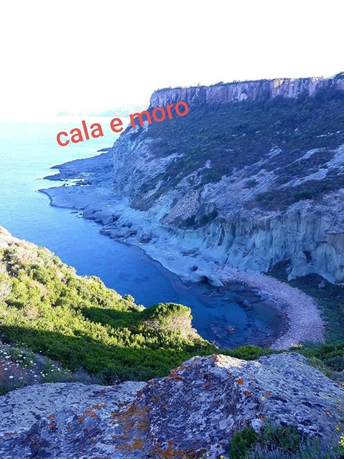شقة Il Narciso بوسا المظهر الخارجي الصورة